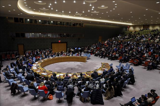 越南与联合国安理会：越南对塞浦路斯的政治紧张局势表示担忧 ảnh 1