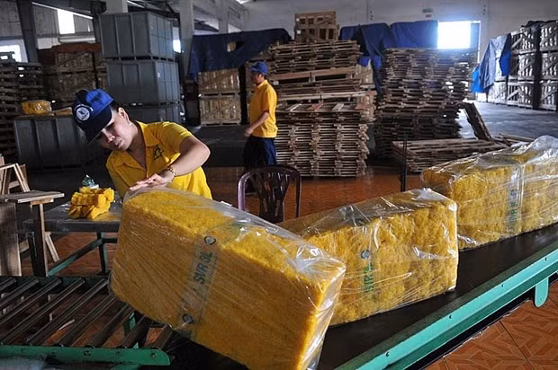 2021年前5月越南橡胶对印度出口额实现翻倍增长 ảnh 1