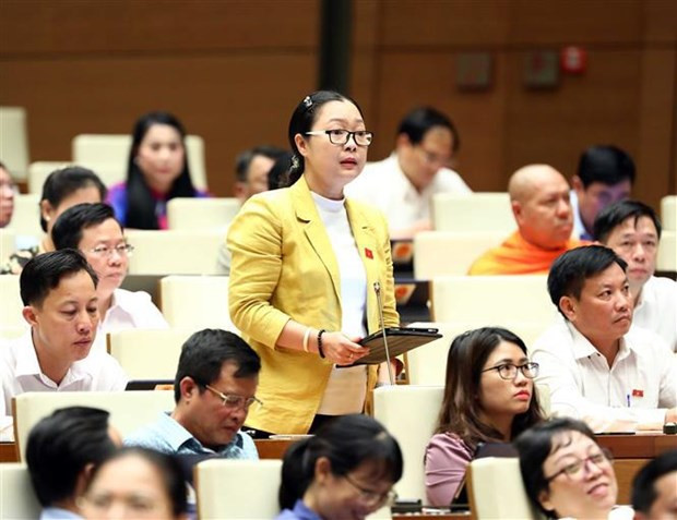 国会代表发表意见。图自越通社 越南第十五届国会第三次会议新闻公报(第三号) ảnh 1