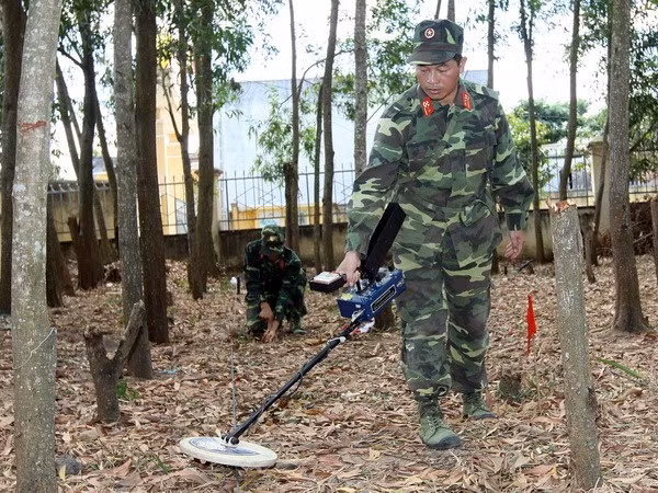 广平省加强战后遗留炸弹和地雷清理工作 ảnh 1