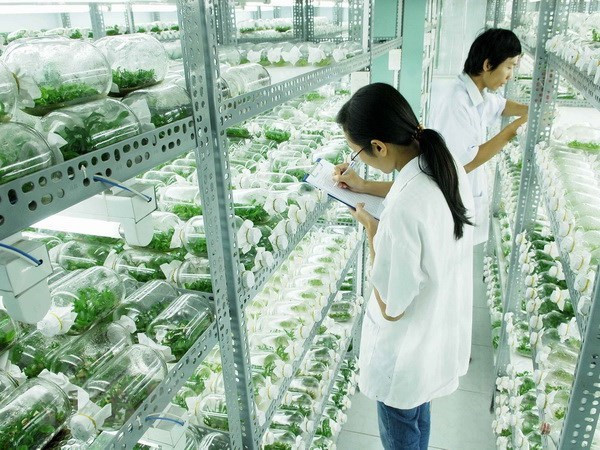 附图:胡志明市古芝县某一个高科技农业园区。图自越通社 以色列驻越南大使阿斯卡尔:越南政府在新冠肺炎疫情防控努力中取得巨大成功 ảnh 3