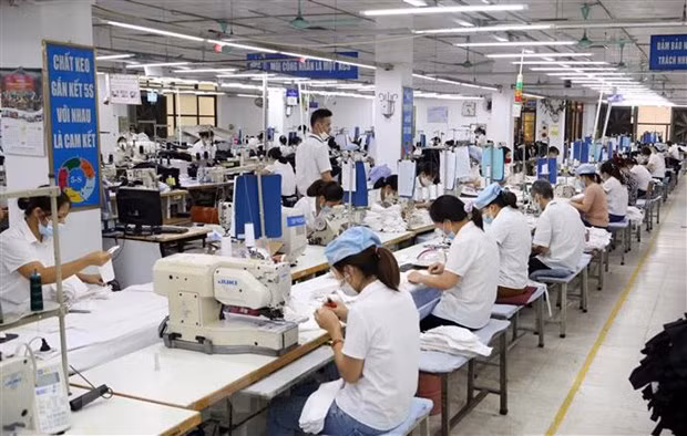 胡志明市受新冠肺炎疫情影响的劳动者达46.8% ảnh 1