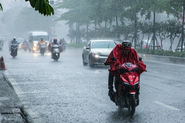 大雨天气。图自越通社 越南北部山区局地气温可在11摄氏度以下 ảnh 2