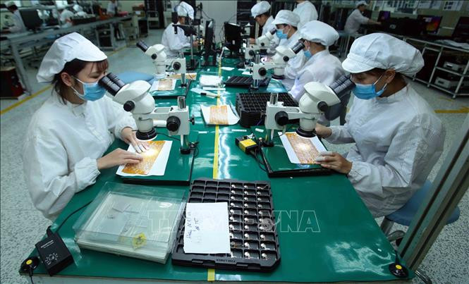 附图。图自越通社 越南对匈牙利商品出口前景广阔 ảnh 1