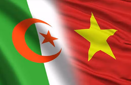 越南驻阿尔及利亚大使：越阿两国投资贸易合作潜力巨大 ảnh 1