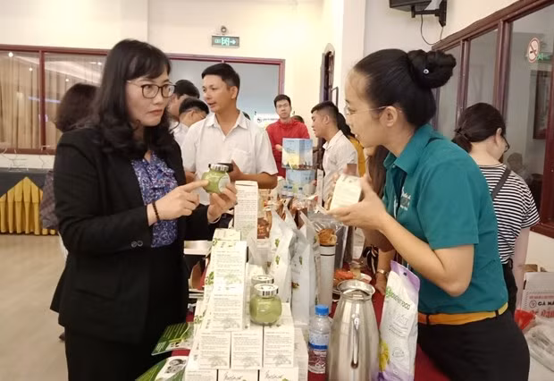 寻找措施加大对中国市场出口越南蔬果的力度 ảnh 2