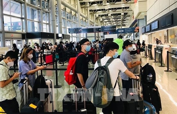 附图 图自越通社 将在日本滞留的350多名公民接回国 ảnh 1