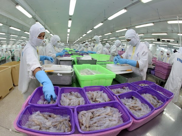 今年前7月,越南虾类产品仍占美国虾类产品进口总量的7.9%,较2020年同期增长1%。图自越通社 越南虾类产品在美国市场占有率增加 ảnh 1