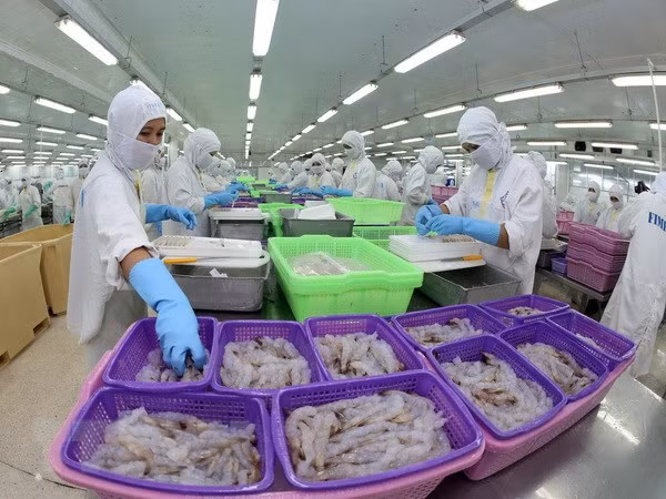 越南虾类产品在美国市场占有率增加 ảnh 1