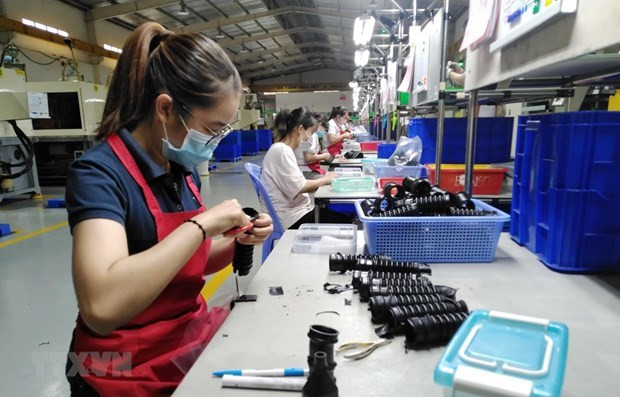 同奈省某家公司的员工。图自越通社 越南仍是外国投资商的安全、颇具吸引力和潜在的投资目的地 ảnh 2