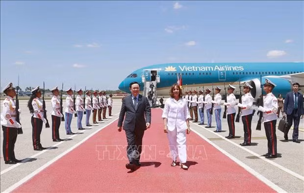 越南国会主席王廷惠抵达哈瓦那 开始访问古巴之行 ảnh 4