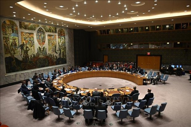 在美国纽约召开的联合国安理会会议场景。图自越通社 联合国安理会就委内瑞拉局势召开视频会议 越南支持进行对话寻找长期和平解决方案 ảnh 1