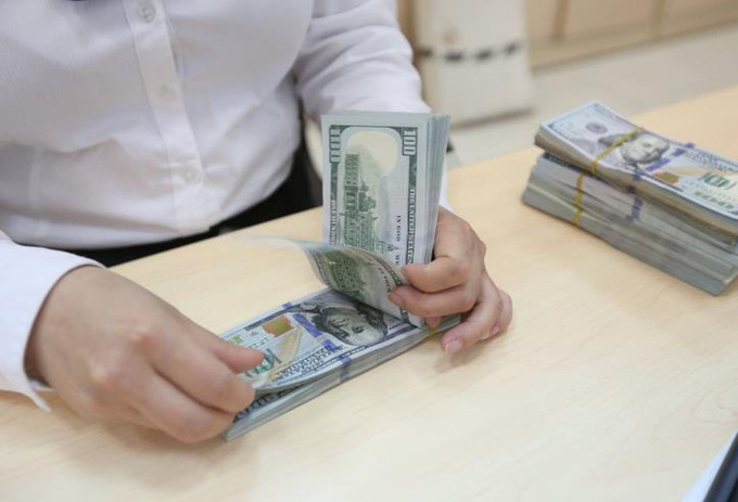 5月29日越南国家银行越盾对美元汇率中间价大幅上涨 ảnh 1