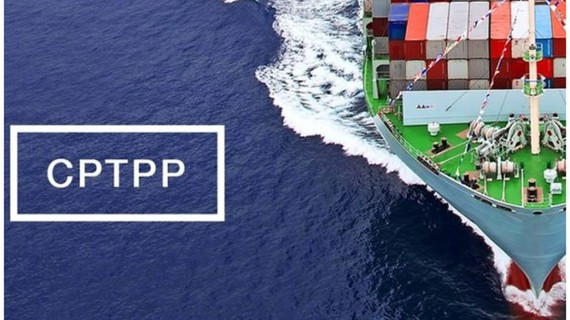附图。图自互联网 马来西亚政府批准CPTPP ảnh 1