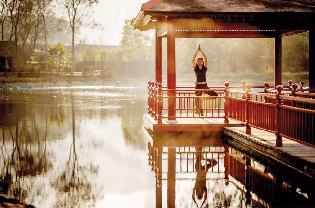 将承天顺化省打造成养生保健旅游中心 ảnh 1