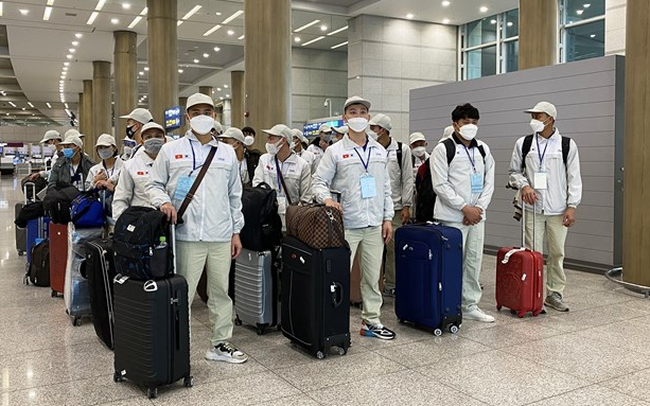 附图 。图自互联网 越南劳务输出人数同比增长19倍 ảnh 1