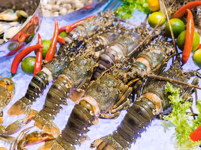 越南龙虾对中国市场出口猛增 ảnh 1