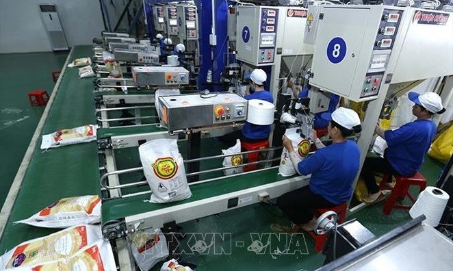 越南大米出口价格上涨近10%。图自越通社 越南大米出口价格上涨近10% ảnh 1