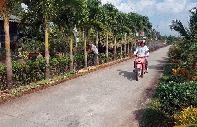 为高棉族地区经济社会发展注入强劲动力 ảnh 3