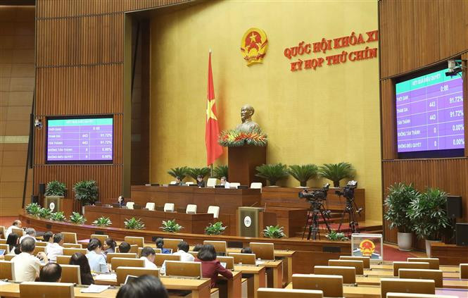 国会以95.65%的赞成率通过了选举国家选举委员会主席的决议。图自越通社 越南国会主席阮氏金银当选国家选举委员会主席 ảnh 1