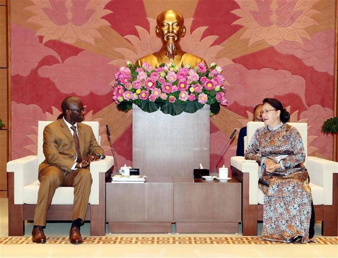 国会主席阮氏金银会见世界银行驻越代表处首席代表奥斯曼·迪奥 ảnh 2