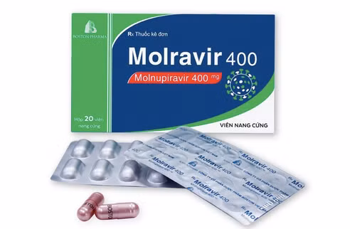 越南卫生部发布莫纳皮拉韦药品价格 ảnh 1