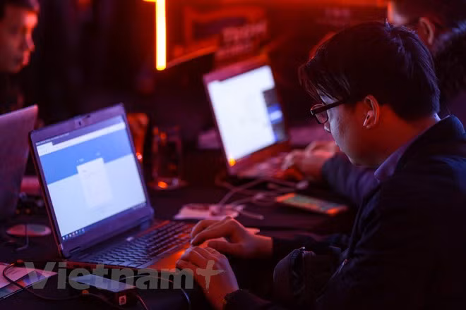 越南网络攻击事件数量创5年来最低 ảnh 1