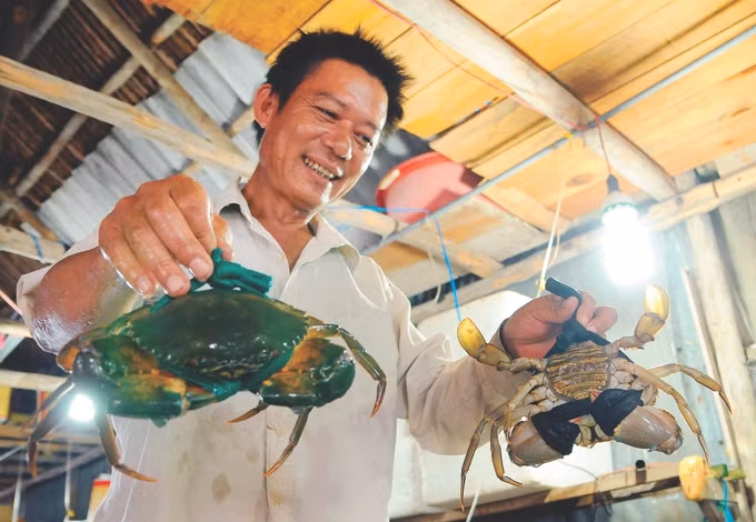 Ngoc Hien phat trien kinh te xanh 8.jpg