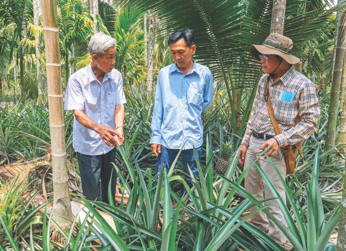 1-hieu qua mo hinh thich ung bien doi khi hau-kien giang-van chi.jpg