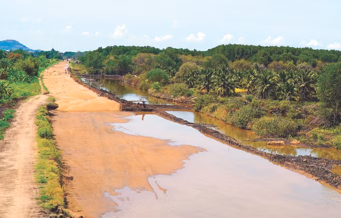 Phat trien kinh te gan bao ve rung o Kien Giang 3.jpg