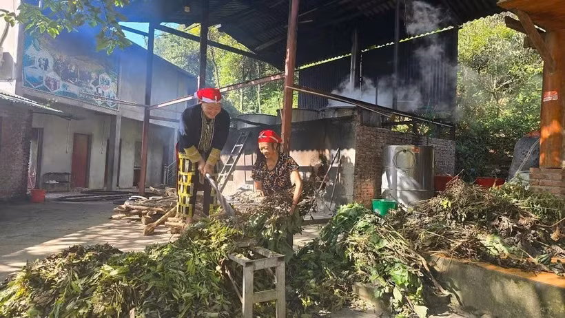 草药需连续熬煮3至4个小时，形成带有各类草本植物独特芳香的浴汤。图自越通社
