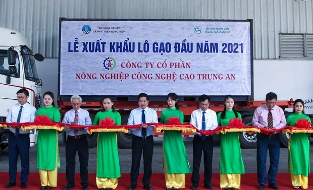 2021年初越南向新加坡和马来西亚出口1600吨大米
