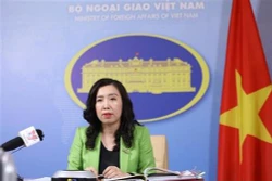 越南要求各方不采取使东海复杂局势扩大化的行动