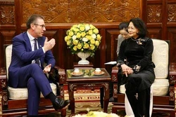 越南国家副主席会见爱尔兰全球风能与太阳能公司执行总裁