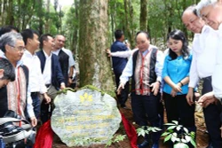 阮春福总理：玉玲人参是越南国宝