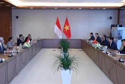 越南政府副总理兼外长范平明同印尼外长举行会谈