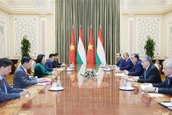 越南国家副主席邓氏玉盛同多国领导举行双边会晤