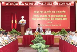 国会主席阮氏金银出席承天顺化省重建30周年庆典 