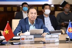 2020东盟轮值主席年：公共卫生事件应急东盟协调理事会旗下工作小组召开视频会议