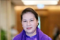 越南国会主席阮氏金银：共同携手保护东盟共同家园
