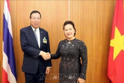 越南国会主席阮氏金银会见泰国国会上议院议长蓬佩