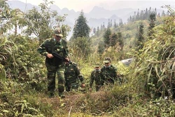 奋战在新冠肺炎防控一线的越南边防部队：官兵住帐篷、躺森林防止新冠肺炎疫情入侵（第一期）