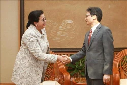 武德儋副总理会见IAEA副总干事莫赫塔