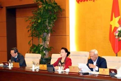 国会主席阮氏金银主持召开越南国会常务委员会第39次会议