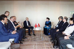 国会主席阮氏金银会见土耳其对外经济关系委员会主席