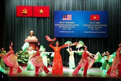 越南与马来西亚建交45周年庆祝活动在胡志明市举行
