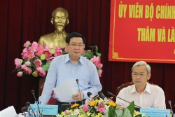 政府副总理王廷惠：同奈省应促进城镇化与工业化协调发展