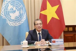 越南与联合国安理会：联合国安理会海湾地区局势部长级视频会议举行