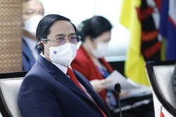 外交部副部长阮国勇：越南是东盟的担当者、奉献者