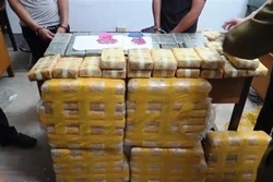 越南破获一起特大毒品运输案并抓获两名犯罪嫌疑人
